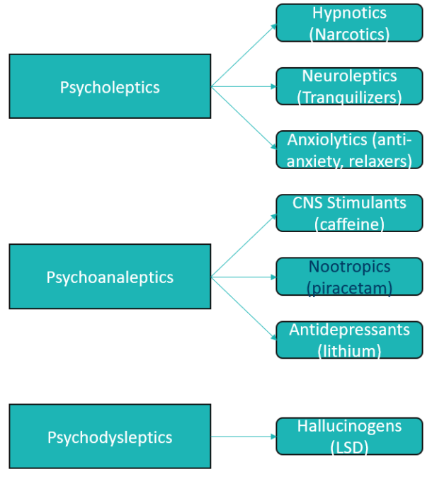 Defining A Nootropic - The Adaptable Developer